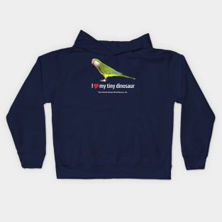 CB Quaker Tiny Dinosaur Kids Hoodie